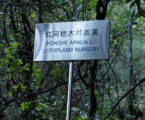 开云体验APP官网入口 - 开云(中国)
