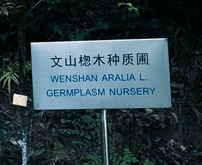 开云体验APP官网入口 - 开云(中国)