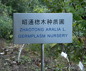 开云体验APP官网入口 - 开云(中国)